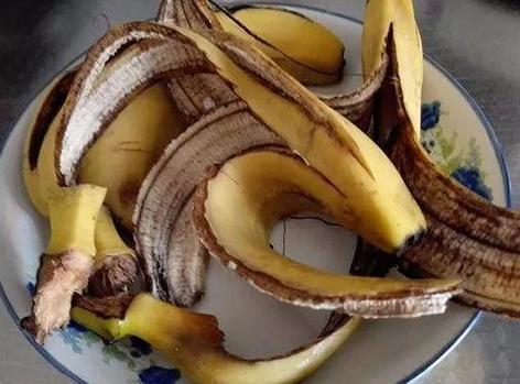 富贵竹黄叶了怎样补救不长根,富贵竹叶子没有生根发黄怎么办