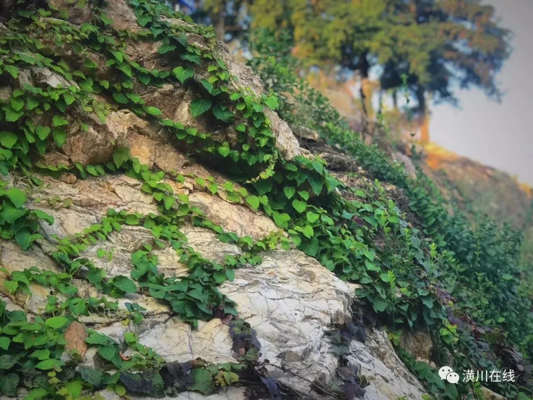 潢川双柳高山,潢川最高峰