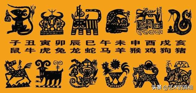 十二生肖中的象形字的演变,十二生肖字的演变