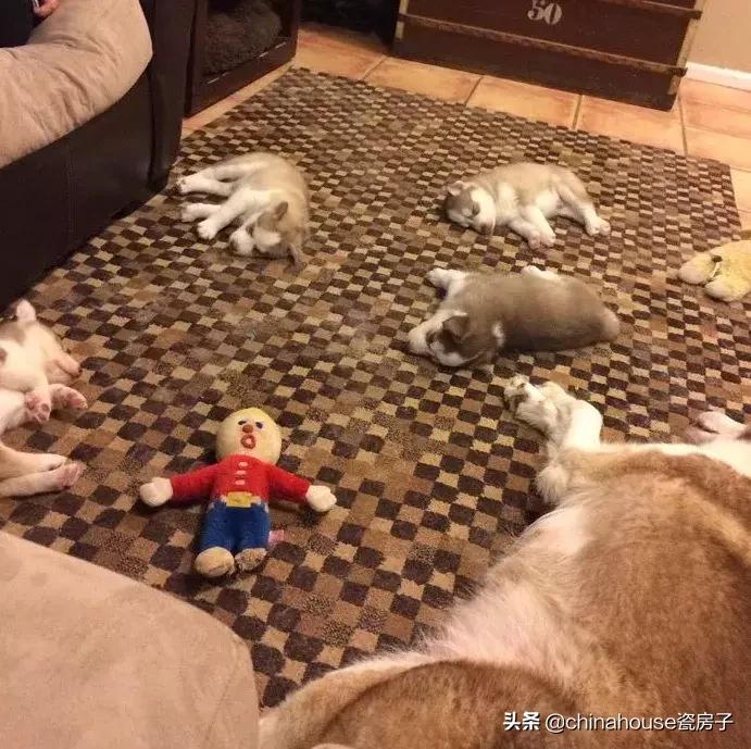 古代的食物和现在的对比,古代的食物是不是比现代的好吃