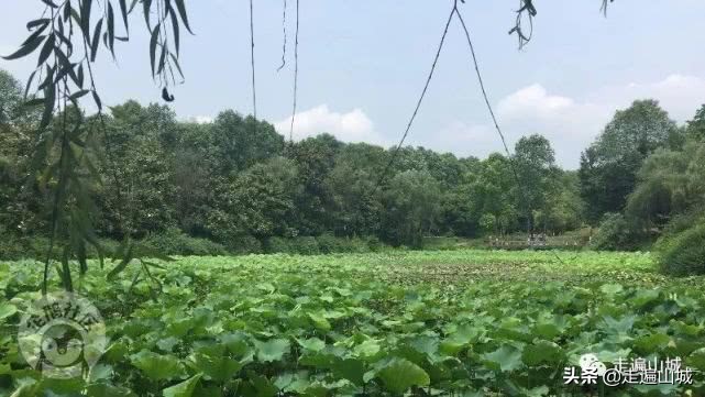 广安巴人石头城,广安巴人石头城门票