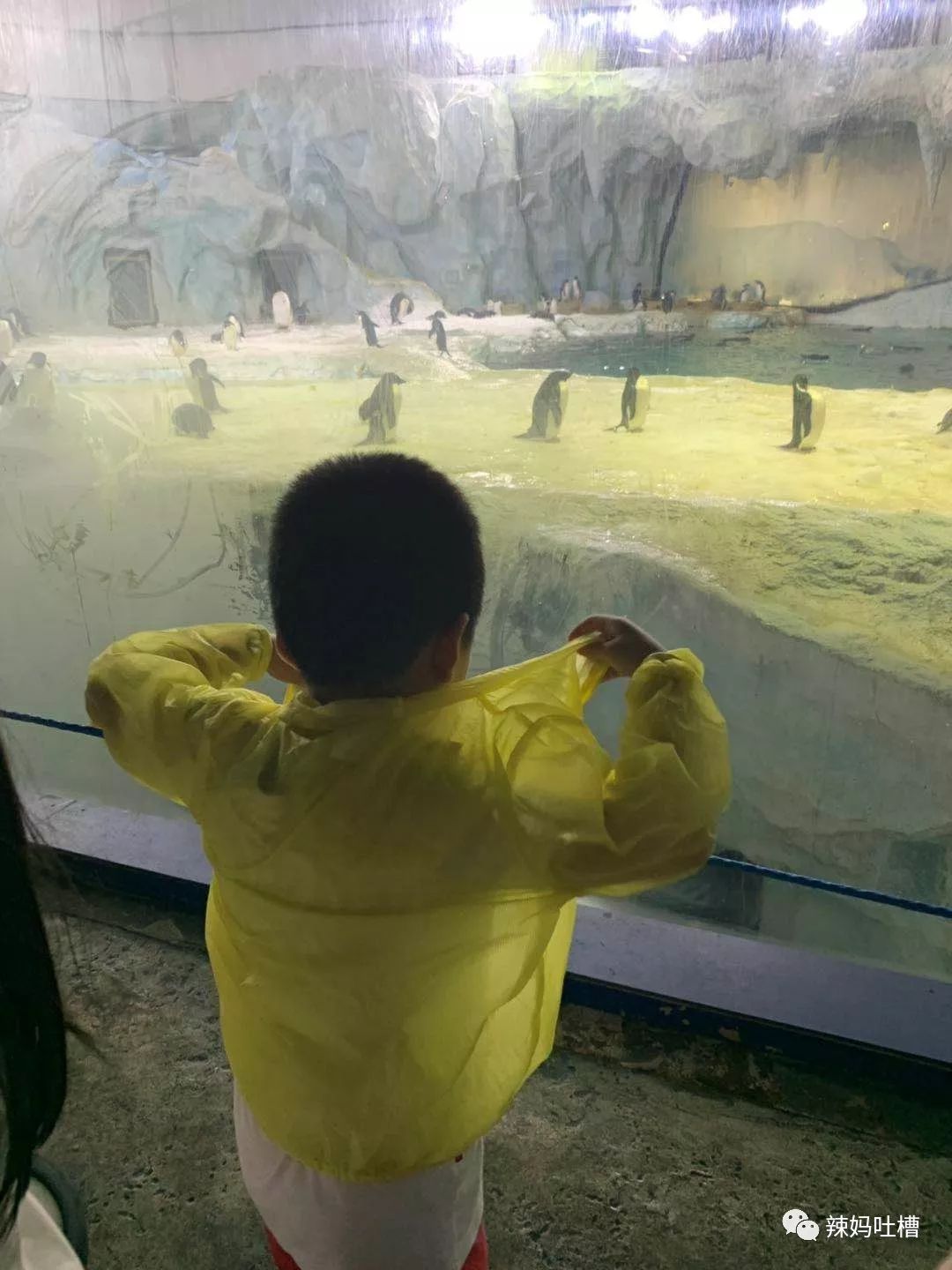 珠海长隆企鹅海洋王国攻略,珠海长隆海洋王国攻略2天亲子游