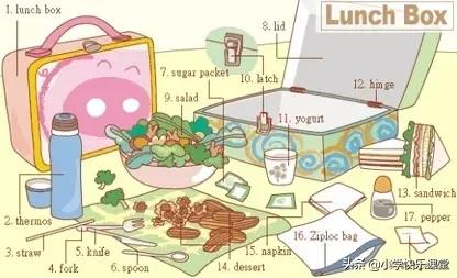 21类生活中常用的英语词汇图！快收藏起来吧