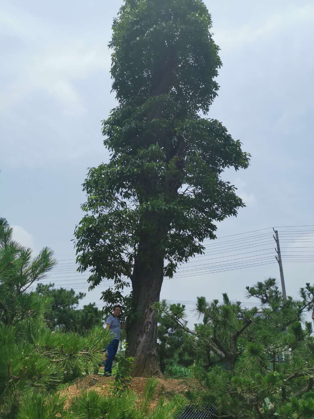 叹为观止自然风景,叹为观止高清图