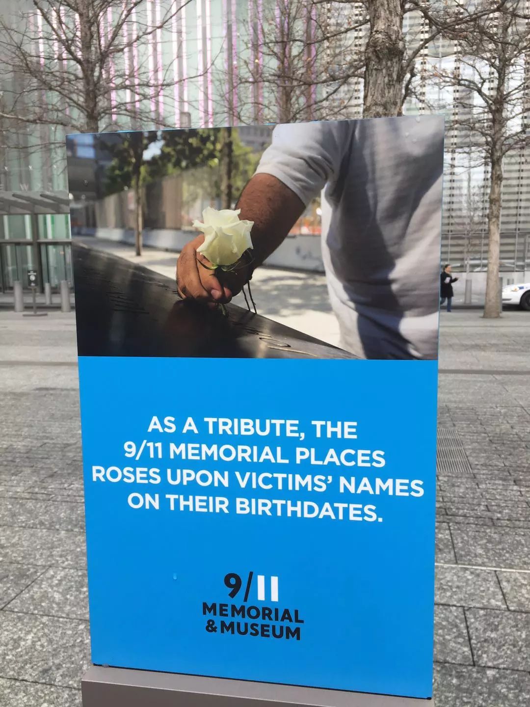 了解美国纽约,美国纽约城市全景