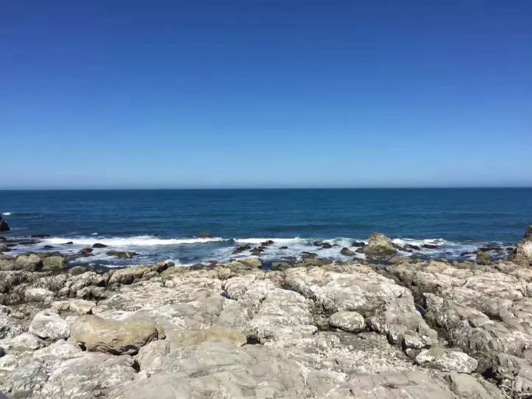 建设工程分包合同管辖法律规定,建设工程合同分包合同纠纷管辖