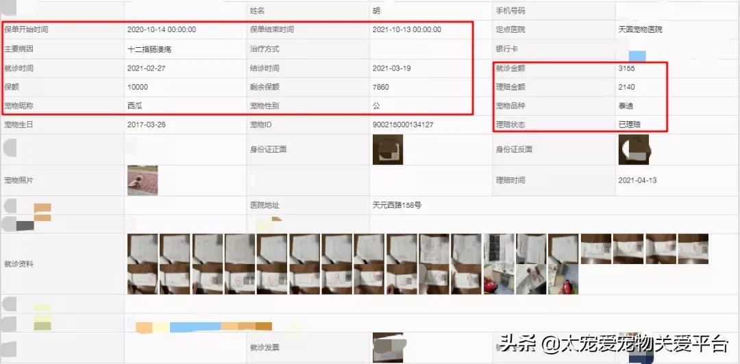 十二指肠溃疡丨太宠爱理赔案例南京天圆宠物医院
