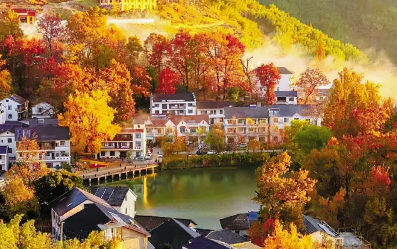 1011月错过它们,等于错过整个秋天!人少清净,随手一拍都是大片