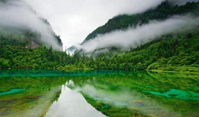 尼康唯卓仕851.8和永诺851.8哪个好,尼康佳能单反怎么选