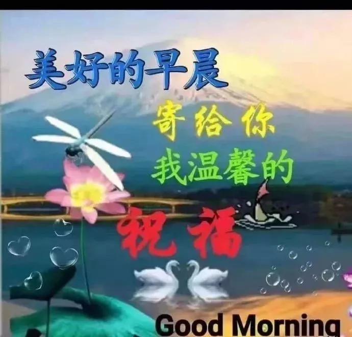 情没有密码，只有用心；爱没有模式，只能珍惜，早安