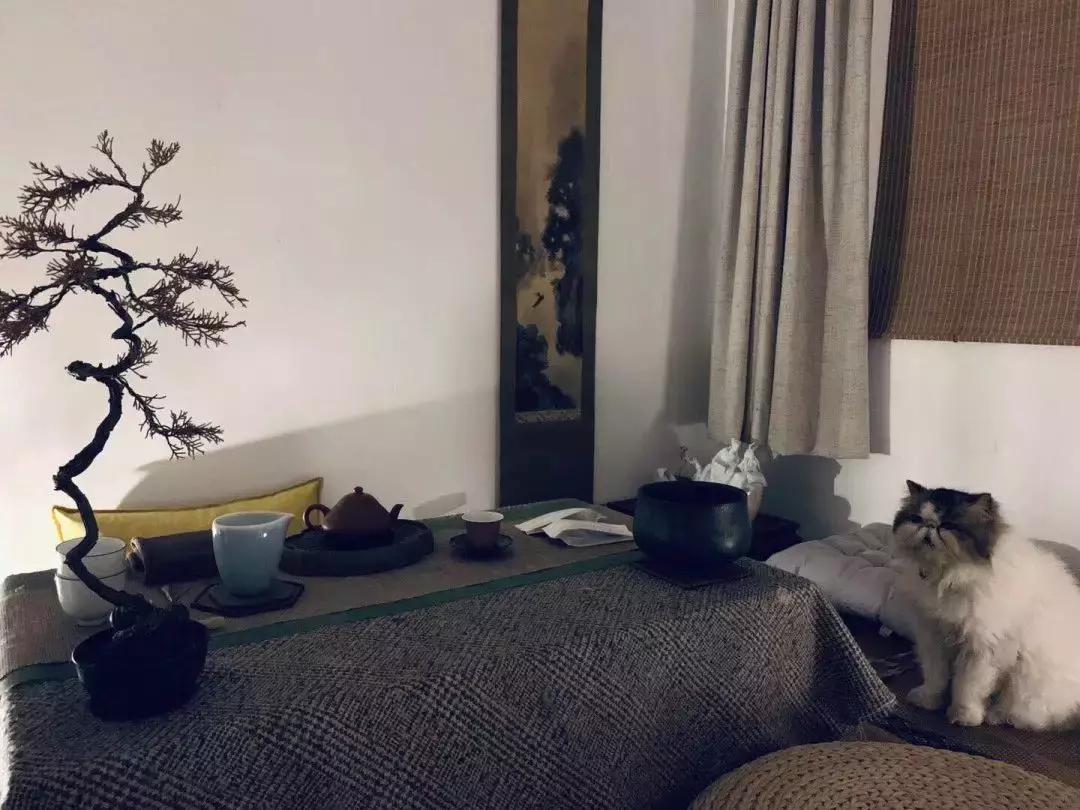 家具全是捡来的,家具都是捡来的