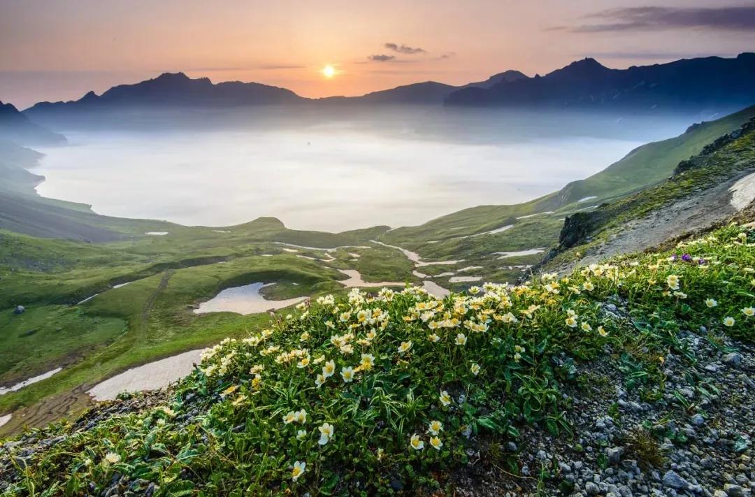 巨人通力的质量怎么样,巨人通力演绎现代视觉美学