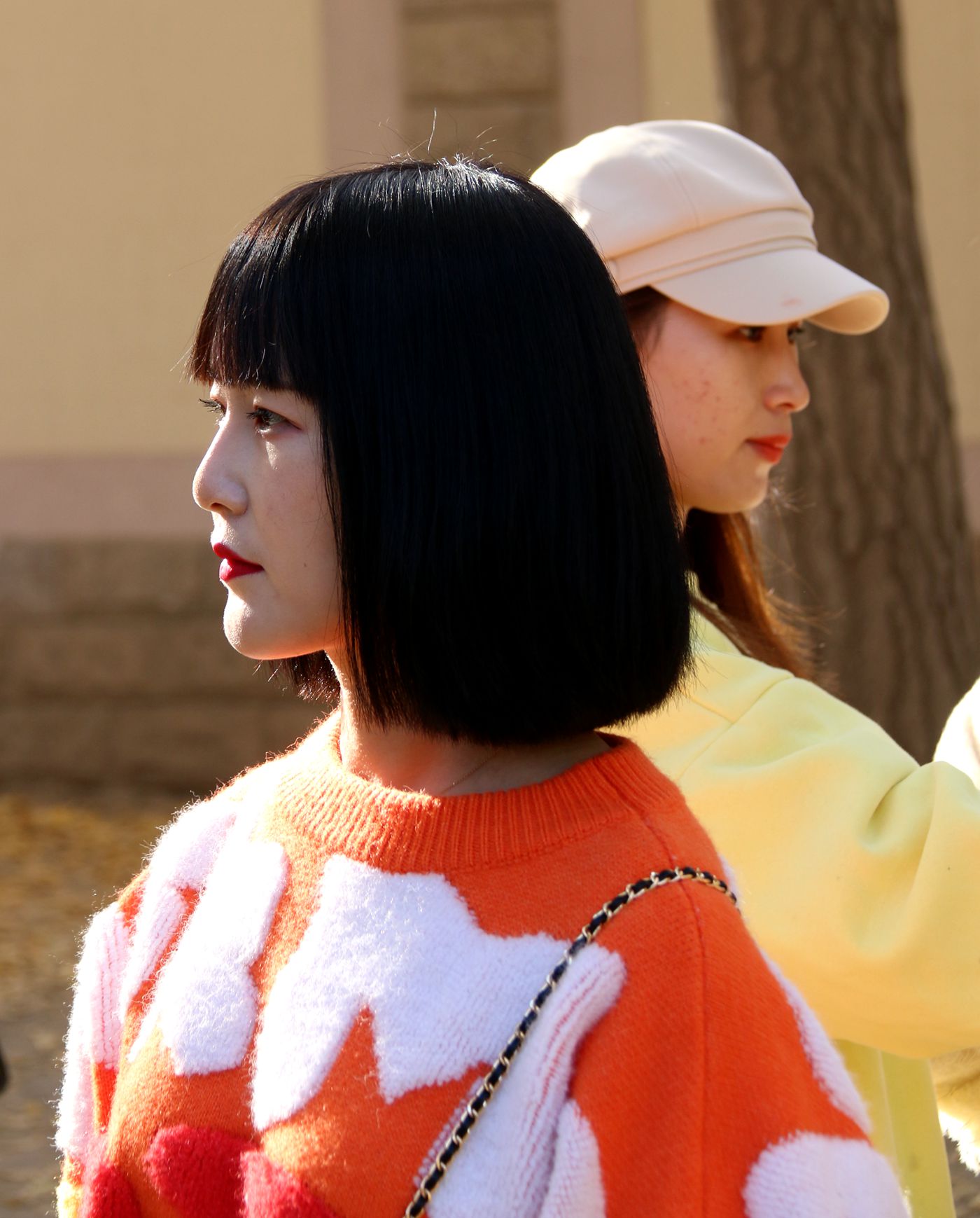 北京钓鱼台国宾馆银杏树大道,北京钓鱼台银杏大道图片