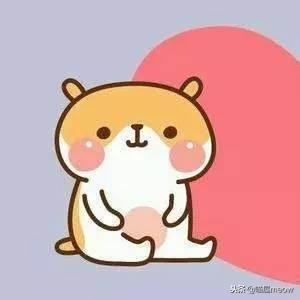 猫喜欢被挠脸是什么意思,猫喜欢被挠下巴闭着眼睛