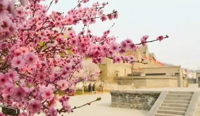 女神节相约美丽,女神节相约一起踏青赏花