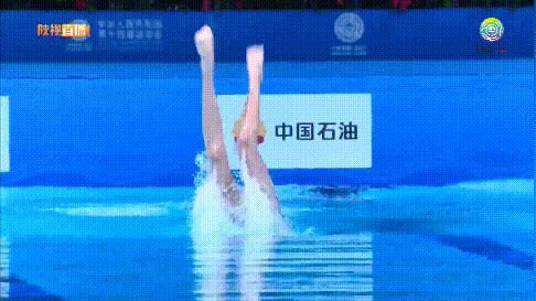 花样游泳锦标赛冠军,花样游泳世锦赛2024几块金牌