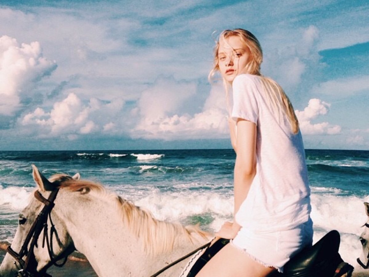 杀破狼星座运势2019.7.8,杀破狼星座运势2019.11.25