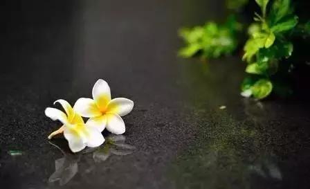 二十七首诗词二十七种人生境界,古诗词中的三种人生境界