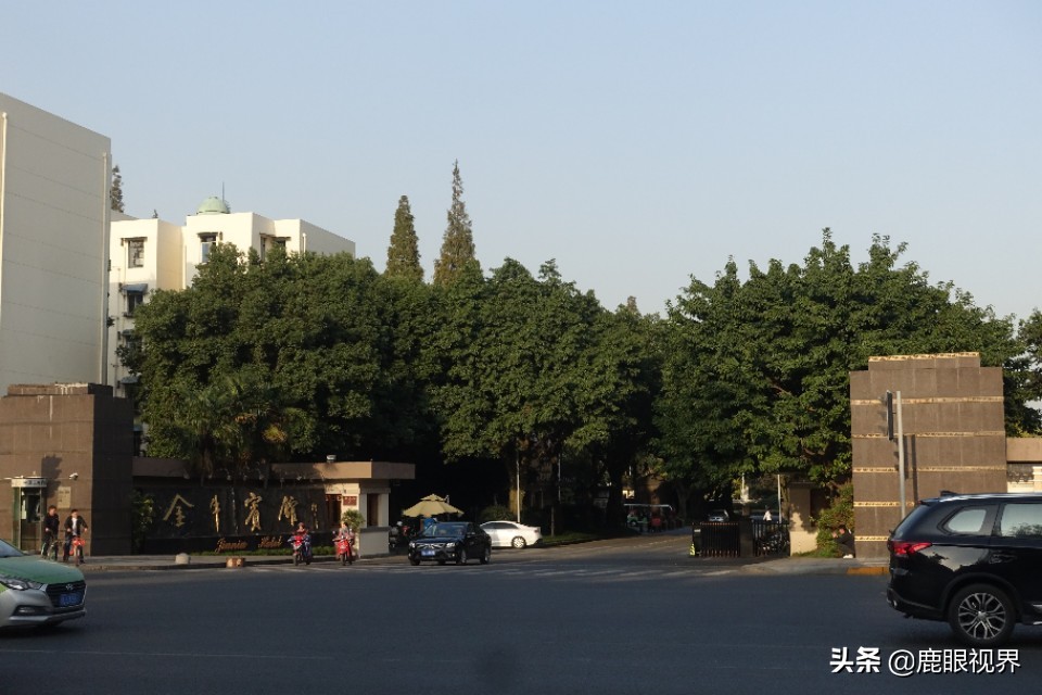 ［鹿眼视界·我的随拍］之346金牛宾馆，牛