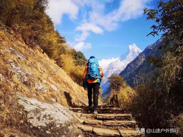 为什么不要独自去野外,呆着好没劲