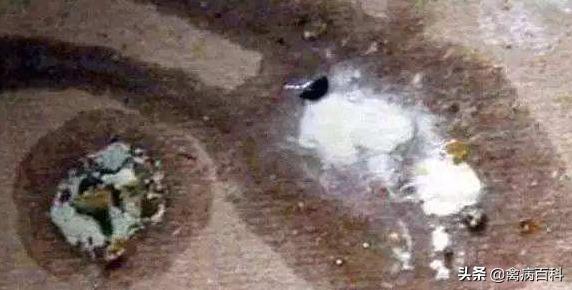 范老师教养鸭,养的小鹅拉肚子有没有办法