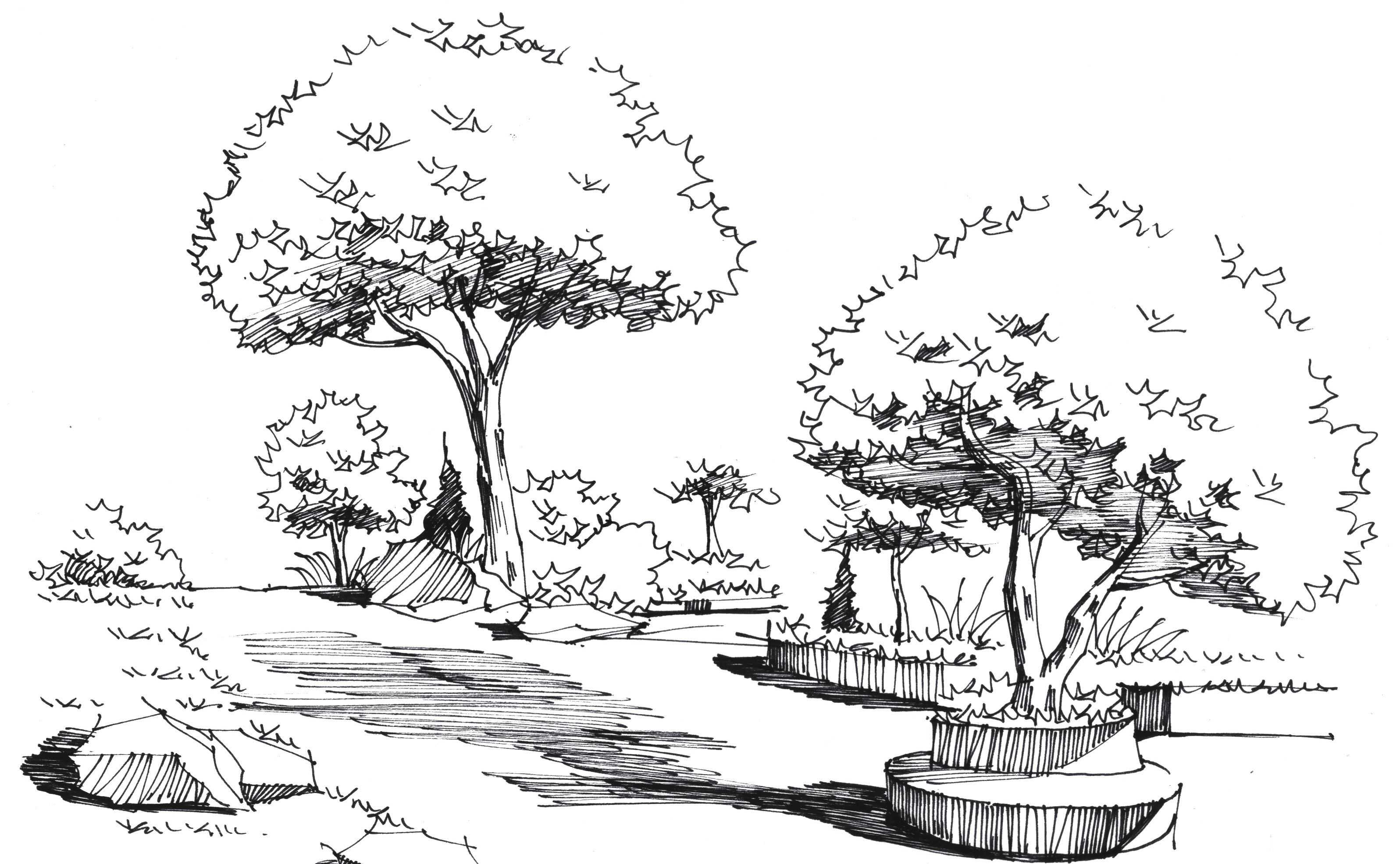 手绘画教程简单初学者上色,手绘画基础教程简单