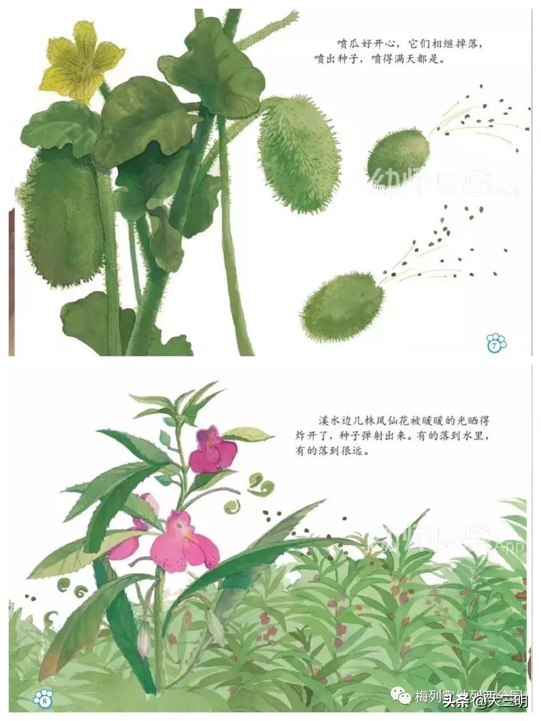 「家园齐心共战疫情」梅列实幼列西分园亲子“爱•悦课堂”中班(第四期)