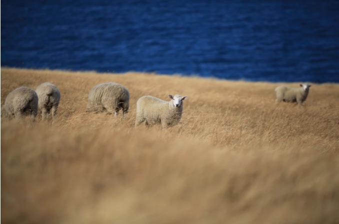 咪咕kindle,咪咕kindle赠送书券怎么领