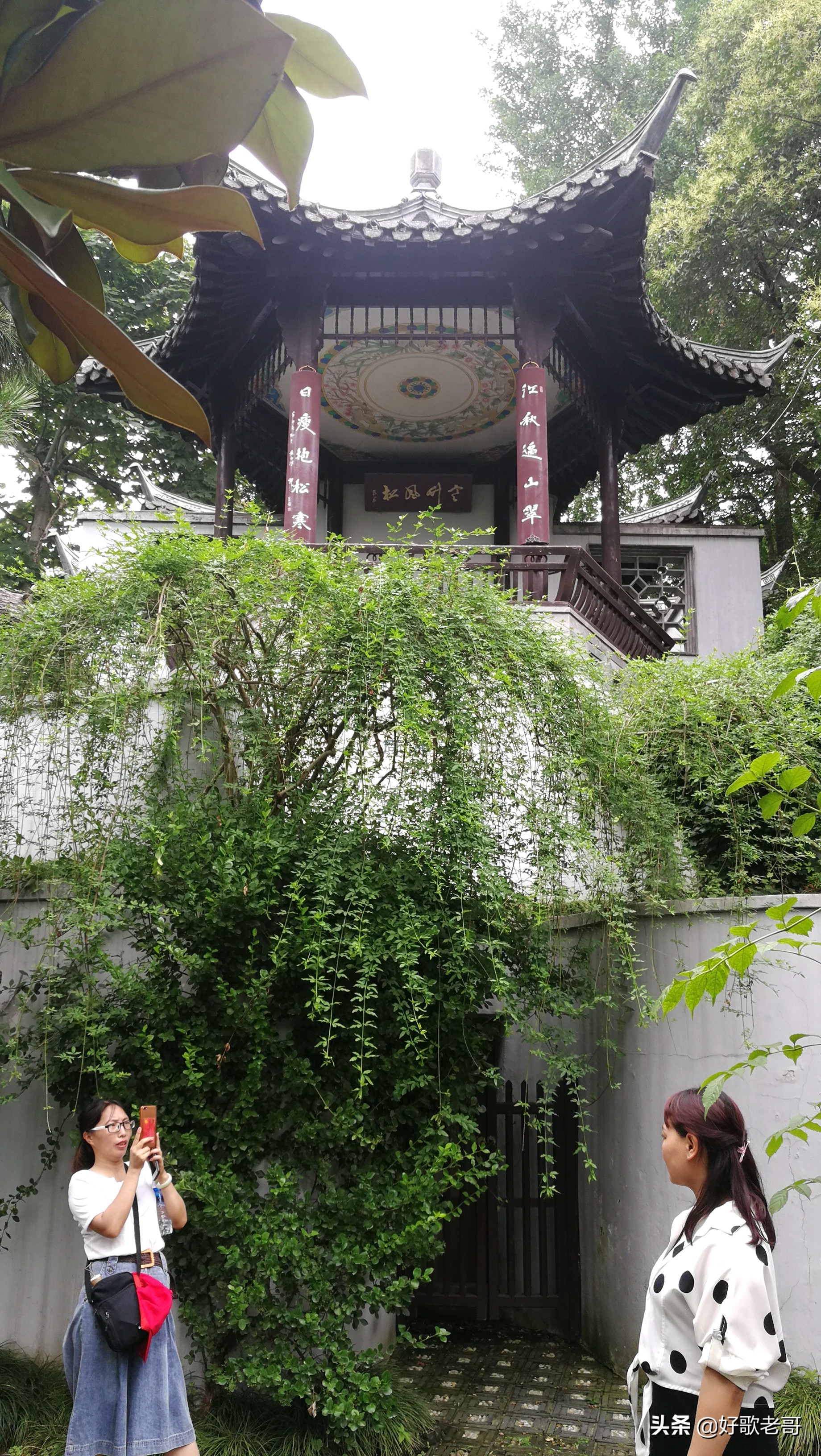 十里湖光,清澄缥碧,花木扶疏,连绵滴翠…瘦西湖游记