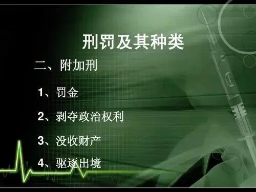 判刑出狱十几年后罚金不交的后果,判刑4年罚金100万不交有什么后果