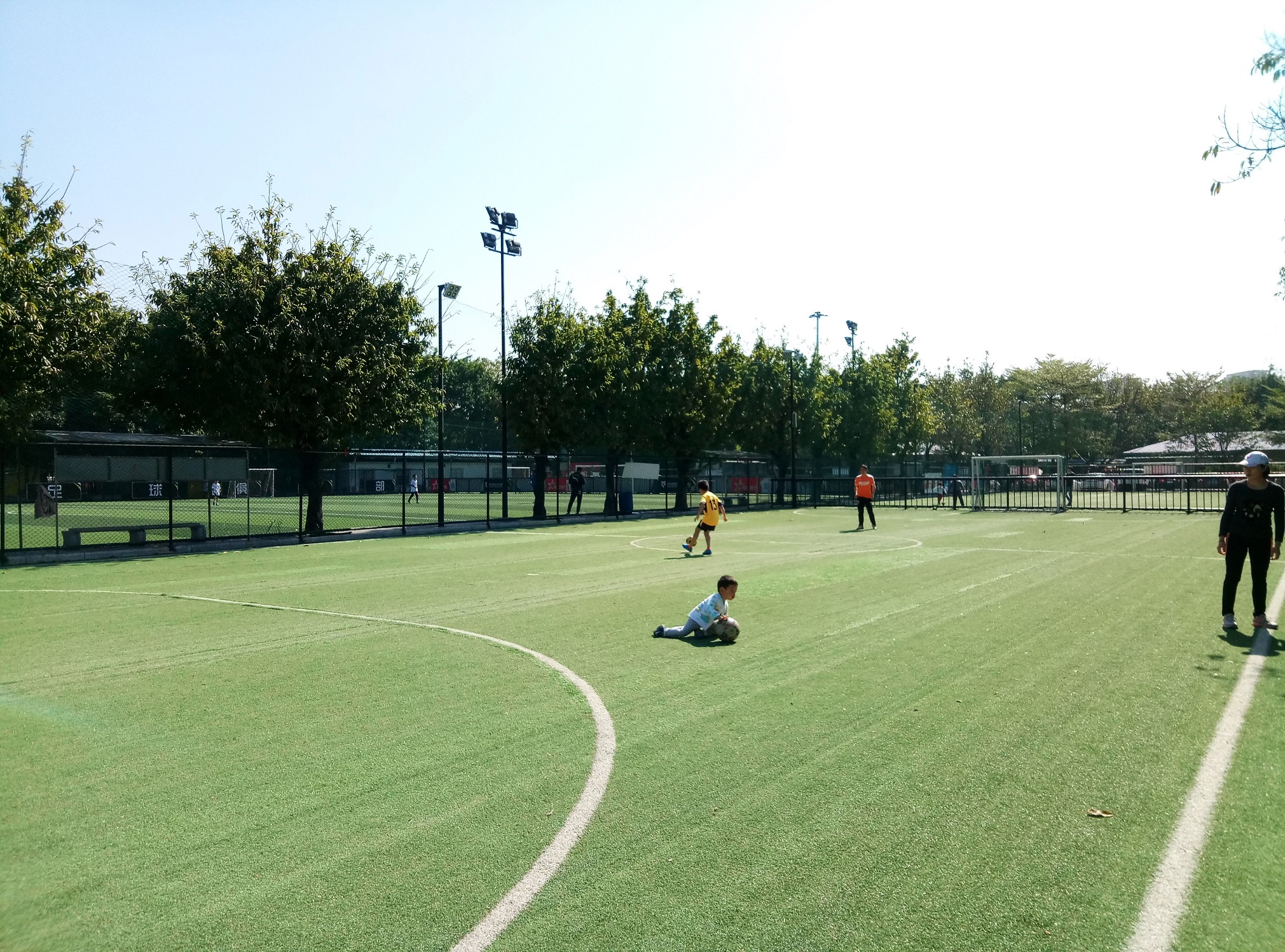 刘殿座为何不能成为国足主力门将,刘殿座足球世预赛