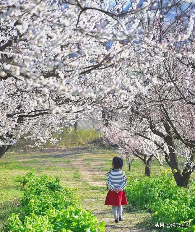 日本女孩为什么这么精致,日本女生的精致感