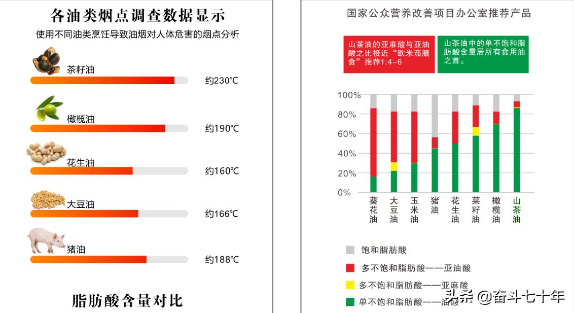 东方神润橄榄油,山茶油是东方橄榄油吗