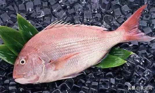 吃河豚鱼中毒能治好吗,吃河豚鱼中毒有救吗