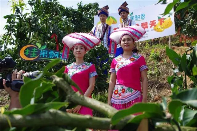 阿里村播计划怎么设置,阿里巴巴村播计划已覆盖全国27省