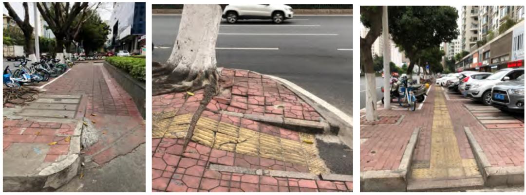 汕头金砂东路品质提升改造,汕头金砂东路改造规划图