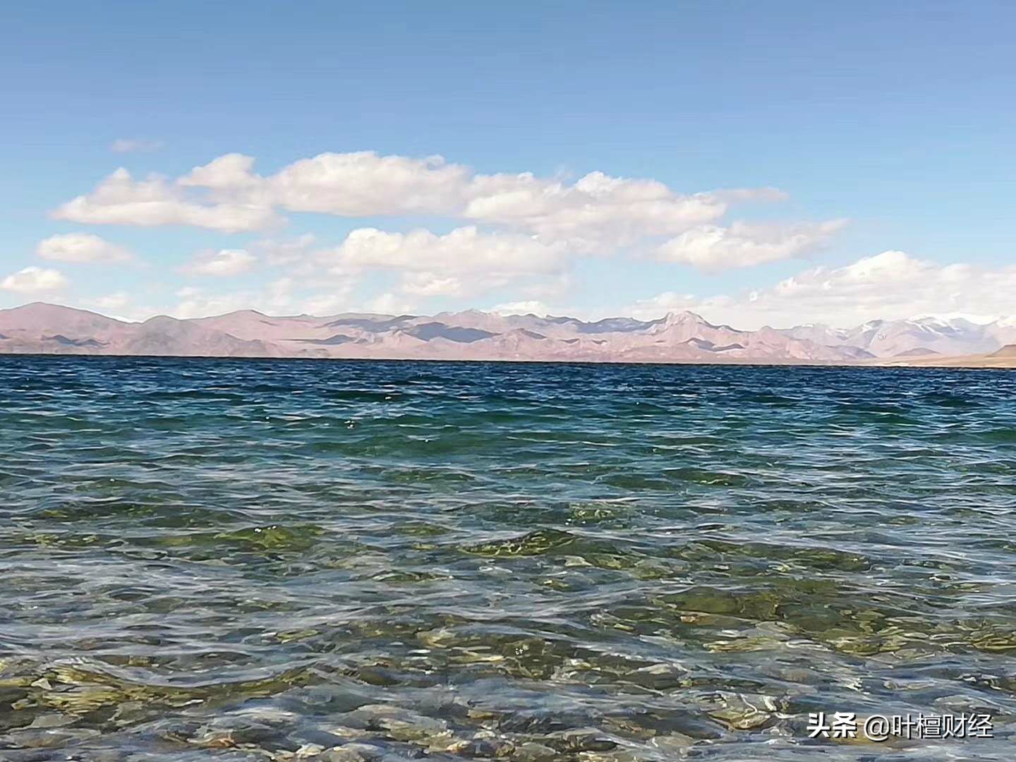 董明珠和叶檀是同学吗,董明珠和叶檀对话