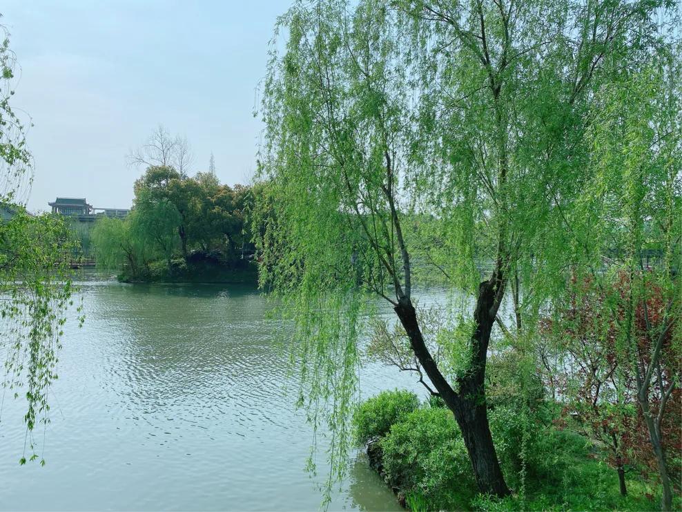 扬州第一站是瘦西湖吗,扬州古运河第一馆