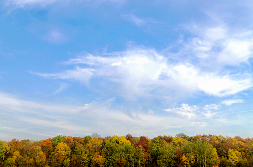 冯骥才白发散文摘抄笔记,冯骥才白发写作手法