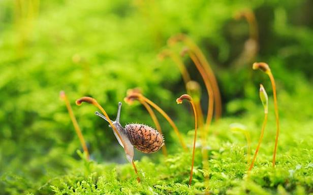 励志阳光把握当下正能量句子,阳光心态的心情语录句句正能量