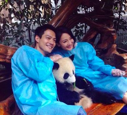 周迅现在和高圣远感情状况,周迅和高圣远疑似离婚