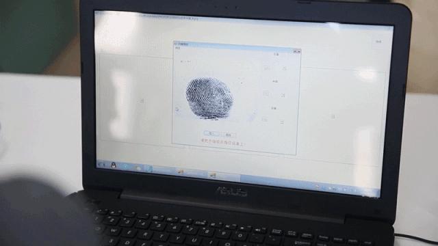 皮纹测试先天潜能总量,皮纹基因潜能测试