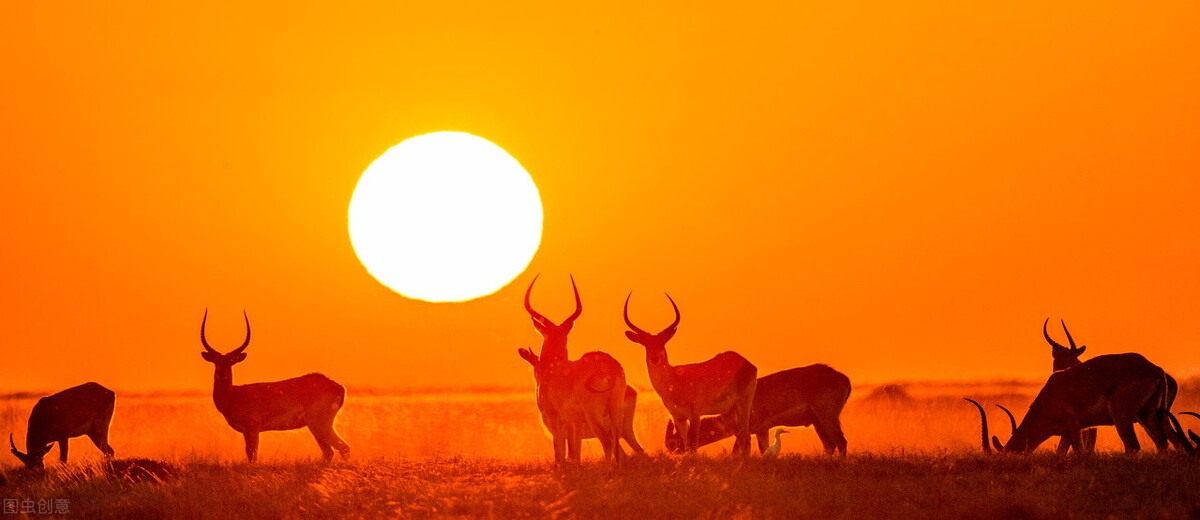 去非洲工作真的可以一夜暴富？这是传说？还是真实存在？