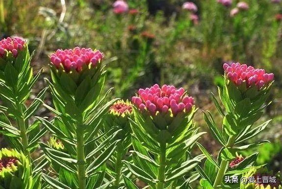晋城有个啥山,晋城有什么山有名