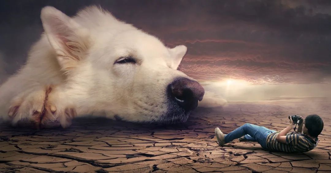 睡着了还能解数学题？研究发现，未来我们也许可以边睡觉边学习