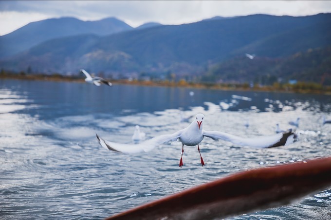 消失的地平线上的“香巴拉”和“女儿国”（二）