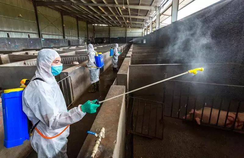 不合格的猪肉,检疫不合格的进口肉类怎么处理