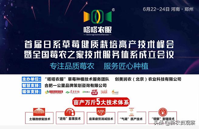 专访嗒嗒农服吴迪：深度聚集，技术为王，走出不一样的农服路