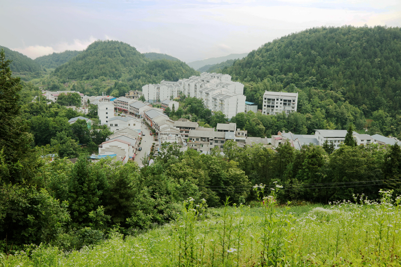 重庆避暑凉快的地方,重庆人都去贵州哪里避暑最好