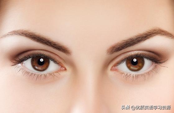 鑻辨枃鐗坢ybestfriend,鑻辫mybestfriend瑙嗛